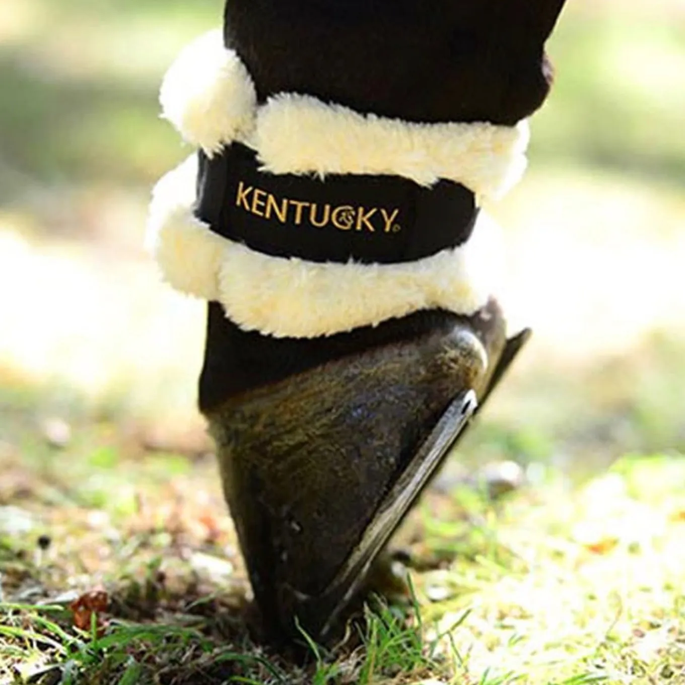 Kentucky Horsewear Sheepskin Pastern Wraps - Black