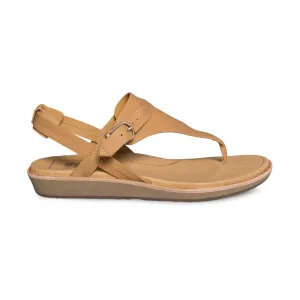 TEVA Encanta Thong Tan Sandals - Women's